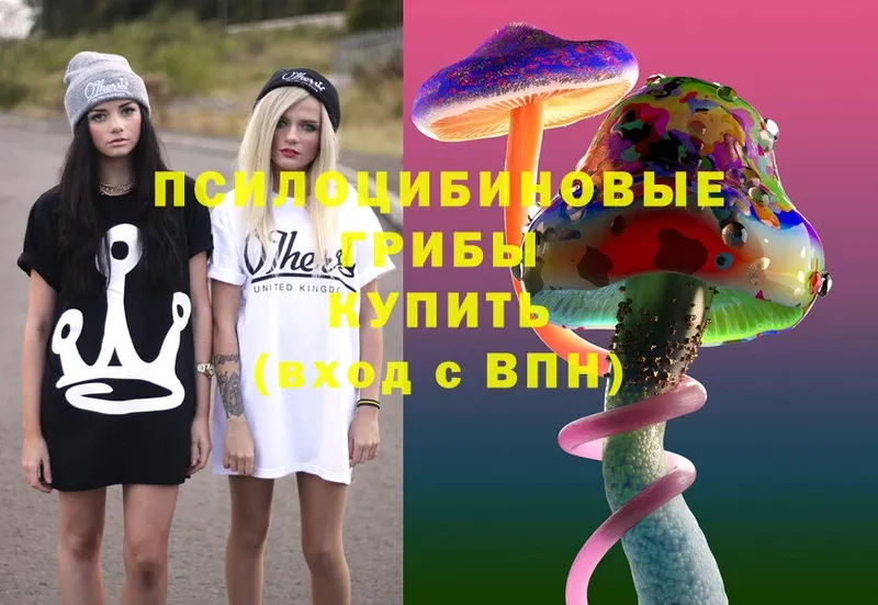 hydra онион  Майский  Псилоцибиновые грибы Magic Shrooms 